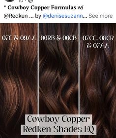 Cowboy Copper, Bottle Blonde, Hair Color Chart, Hair Color Techniques, Color Techniques, Brown Hair Colors