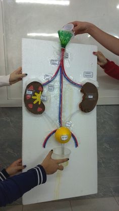 two children are playing with an activity board made out of cardboard and paper plates on the wall