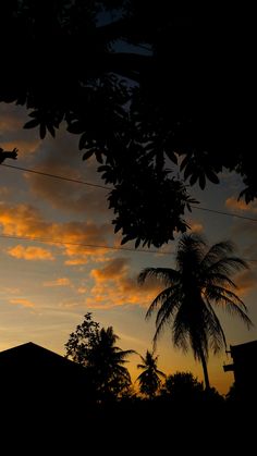 the sun is setting behind some palm trees