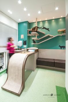 a woman walking past a reception area with cat murals on the wall and in the background