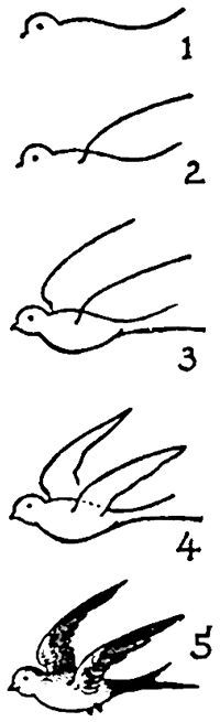 four different types of birds flying in the sky, vintage line drawing or engraving illustration