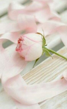 a single pink rose sitting on top of a wooden table next to ribbons and ribbon