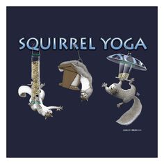 the squirrel yoga poster has three different animals on it's back and one is holding an object in its hand