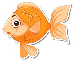 an orange fish with big eyes on a white background stock photo - budget cut outs