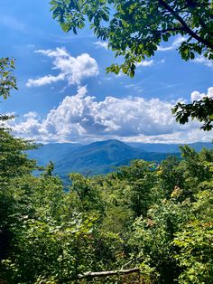 the mountains are in the distance as seen through some trees and bushes on a sunny day