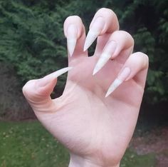 Natural Stiletto Nails, Vampire Nails, Long Natural Nails, Sharp Nails, Claw Nails, New Iphone 11, Long Acrylic Nails, Body Mods, Stiletto Nails