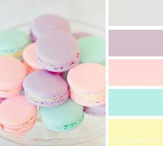 macaroons in pastel colors are displayed on a plate with the same color scheme