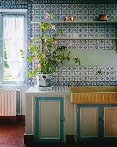 a potted plant sitting on top of a kitchen counter next to a sink and window