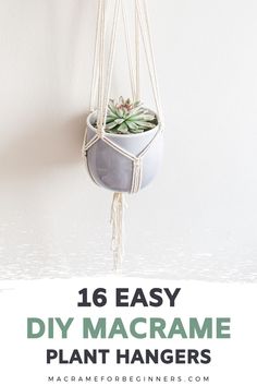 an easy diy macrame plant hanger made with rope and succulents