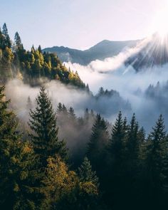 the sun shines brightly through the clouds in the mountains above some trees and fog