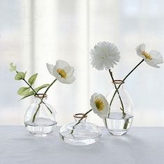 three clear vases with white flowers in them