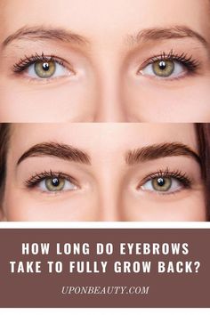 Grow Eyebrows Back, Regrow Eyebrows Fast, How To Increase Eyebrows Hair Growth, Growing Out Eyebrows Stages, Growing Eyebrows Out, Growing Out Eyebrows Before And After, How To Grow Out Eyebrows, Brow Serum Before And After, Eyebrows Growing Out Tips