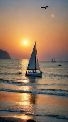 a sailboat in the ocean at sunset with two birds flying over it and another boat on the water