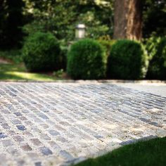 a brick walkway in the middle of a park