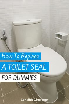 a toilet seat with the words how to replace a toilet seal for dummies