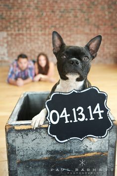 Wedding date hung from their adorable dog, what a great engagement photo idea! The sign is homemade by the crafty bride! Wedding Ideas With Dogs, Photo Ideas With Dogs, Dog Wedding Cake Toppers, Puppy Proposal, Dogs In Wedding, Dog Proposal, Wedding Photography Country, Dog Wedding Ideas, Engagement Forest