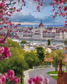 the city is surrounded by pink flowers and trees