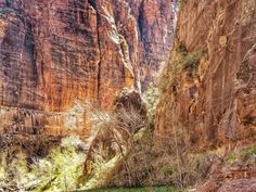 the water is running down the side of the canyon and there are no people on it