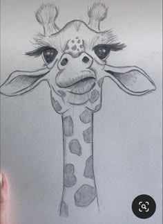 a pencil drawing of a giraffe's face with big eyes and long neck