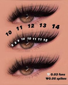 Manga Lash Map Clusters, Fox Eye Lash Map, Siren Lashes, Eyelash Mapping, Lash Maps, Lash Mapping, Best Lash Extensions