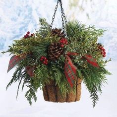 a hanging basket filled with evergreen and pine cones