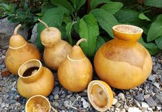 a group of vases sitting on top of a gravel ground