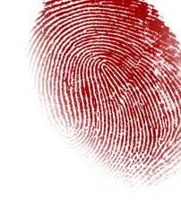 a pink fingerprint on a white background