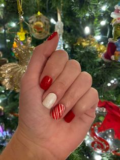 Red Christmas Manicure, Christmas Nails Simple Classy Short, Christmas Dip Nail Ideas Short, Red Dipped Nails, Christmas Acrylic Nails Short, Christmas Nails Natural Nail, Dip Powder Christmas Nails, Christmas Nails Sns, Christmas Nail Colors Dip