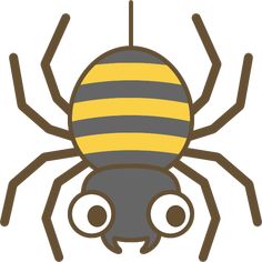 a spider with yellow and black stripes on it's head