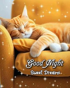 an orange and white cat sleeping on top of a yellow chair with the caption good night sweet dreams