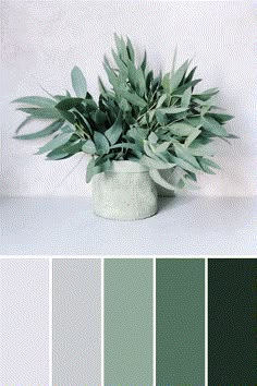 a potted plant sitting on top of a table next to a color swatch