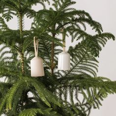 two ornaments hanging from the top of a christmas tree, one white and one green