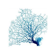 the silhouette of a tree is shown against a white background with blue branches on it