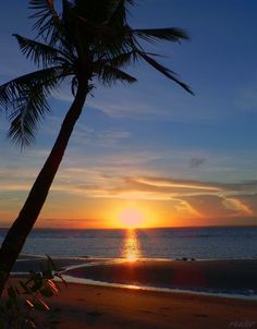 the sun is setting over the ocean with palm trees