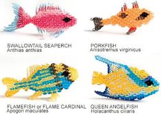 four different types of fish made out of bead and plastic beads with caption