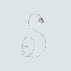 the letter s is drawn in black and white with an insect on it's tail