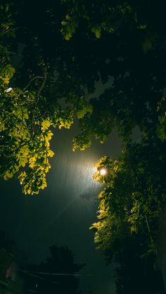 the light shines brightly through the trees in the dark night sky, with no one visible