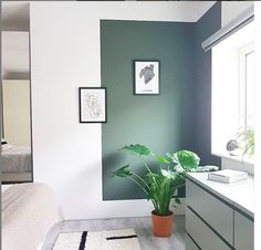 a bedroom with a bed, dresser and plant in the corner on the floor next to it