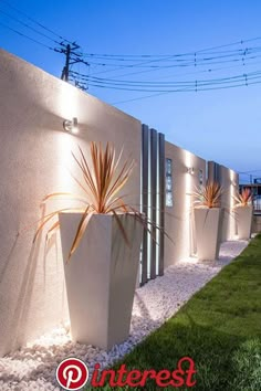 an outdoor area with grass, plants and lights