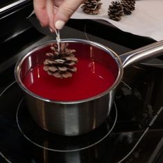 a person is stirring red liquid in a pot with pine cones on the stove top