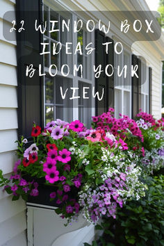 window box ideas to bloom your view