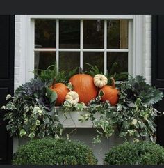 two pumpkins are sitting in the window sill with greenery around them,