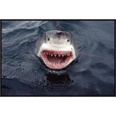 a shark with it's mouth open in the water