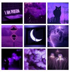 a collage of photos with purple hues and black cats in the sky, moon, clouds, and stars