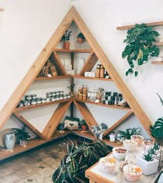 a wooden shelf filled with lots of plants