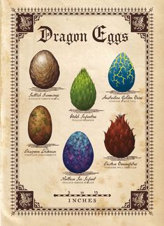 an old book with different types of dragon eggs on the front and back cover,