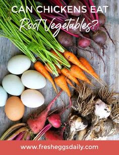 an assortment of vegetables including carrots, radishes and eggs