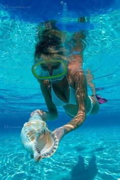 Snorkeling Girl, Island Caribbean, Diving Scuba, Skin Diving, Grand Cayman Island, Cayman Island, Ocean Girl, Best Snorkeling, Water Swimming