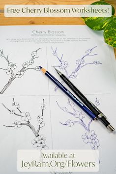 the cherry blossom worksheets are available at jekyram org / flowers com