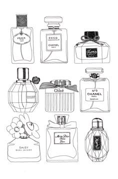 an image of different perfumes drawn by hand in black and white ink on paper